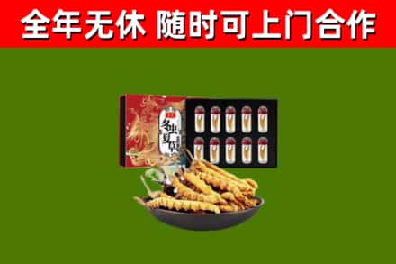 企石镇烟酒回收冬虫夏草礼盒.jpg